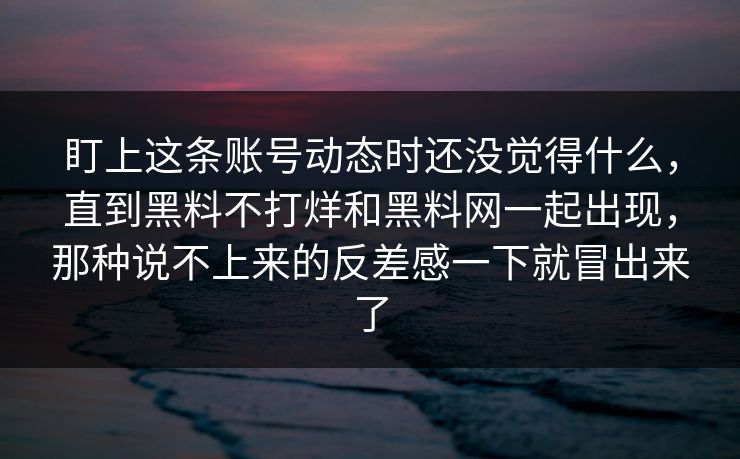 盯上这条账号动态时还没觉得什么，直到黑料不打烊和黑料网一起出现，那种说不上来的反差感一下就冒出来了