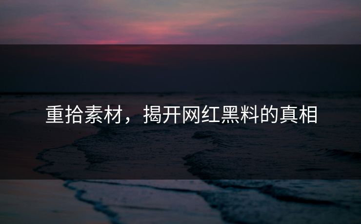 重拾素材，揭开网红黑料的真相