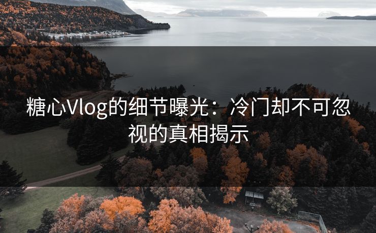 糖心Vlog的细节曝光：冷门却不可忽视的真相揭示