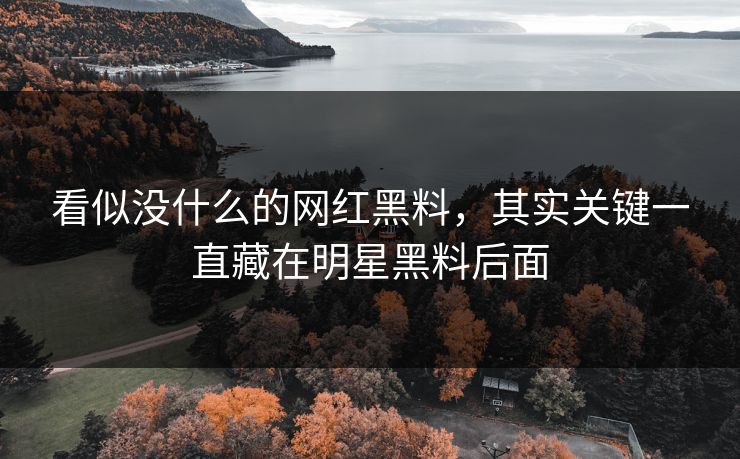看似没什么的网红黑料,其实关键一直藏在明星黑料后面 看似没什么的网红黑料,其实关键一直藏在明星黑料后面
